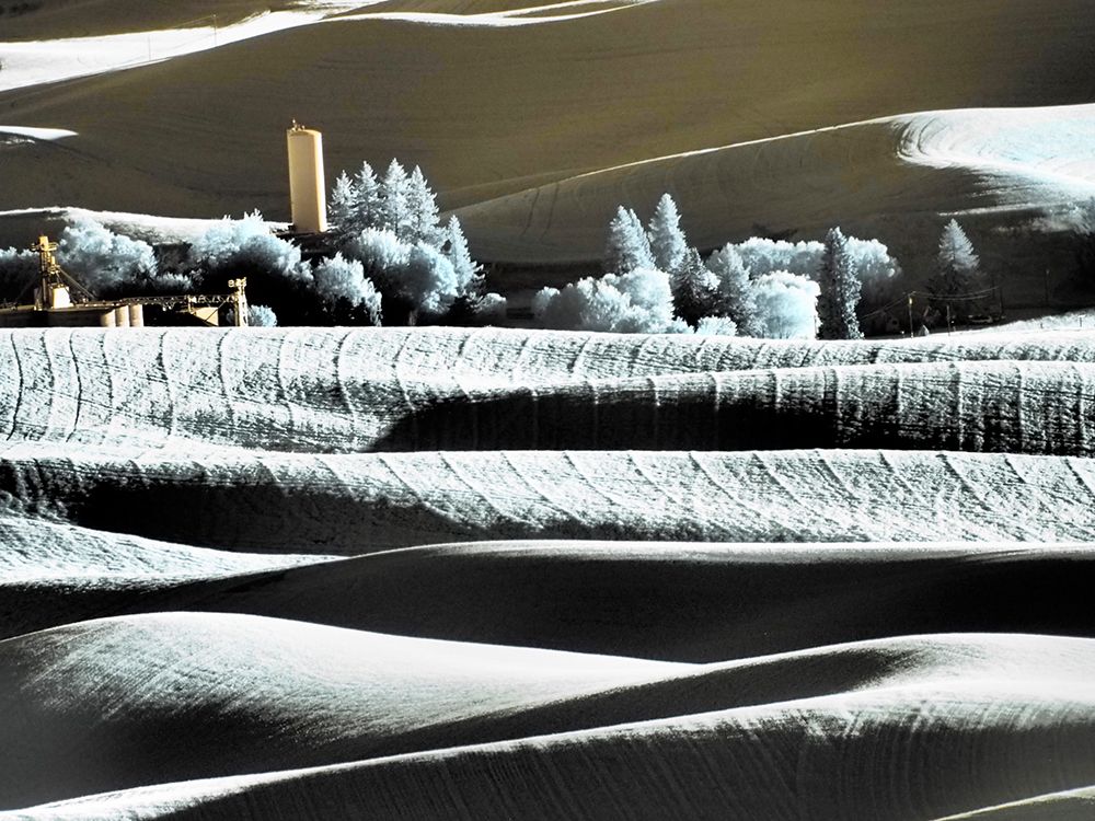 USA-Washington State-Palouse region-the town of Steptoe at Sunset